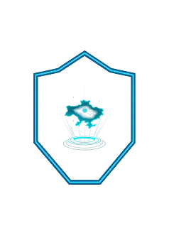 shield with picture